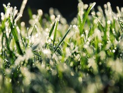Spring wallpaper